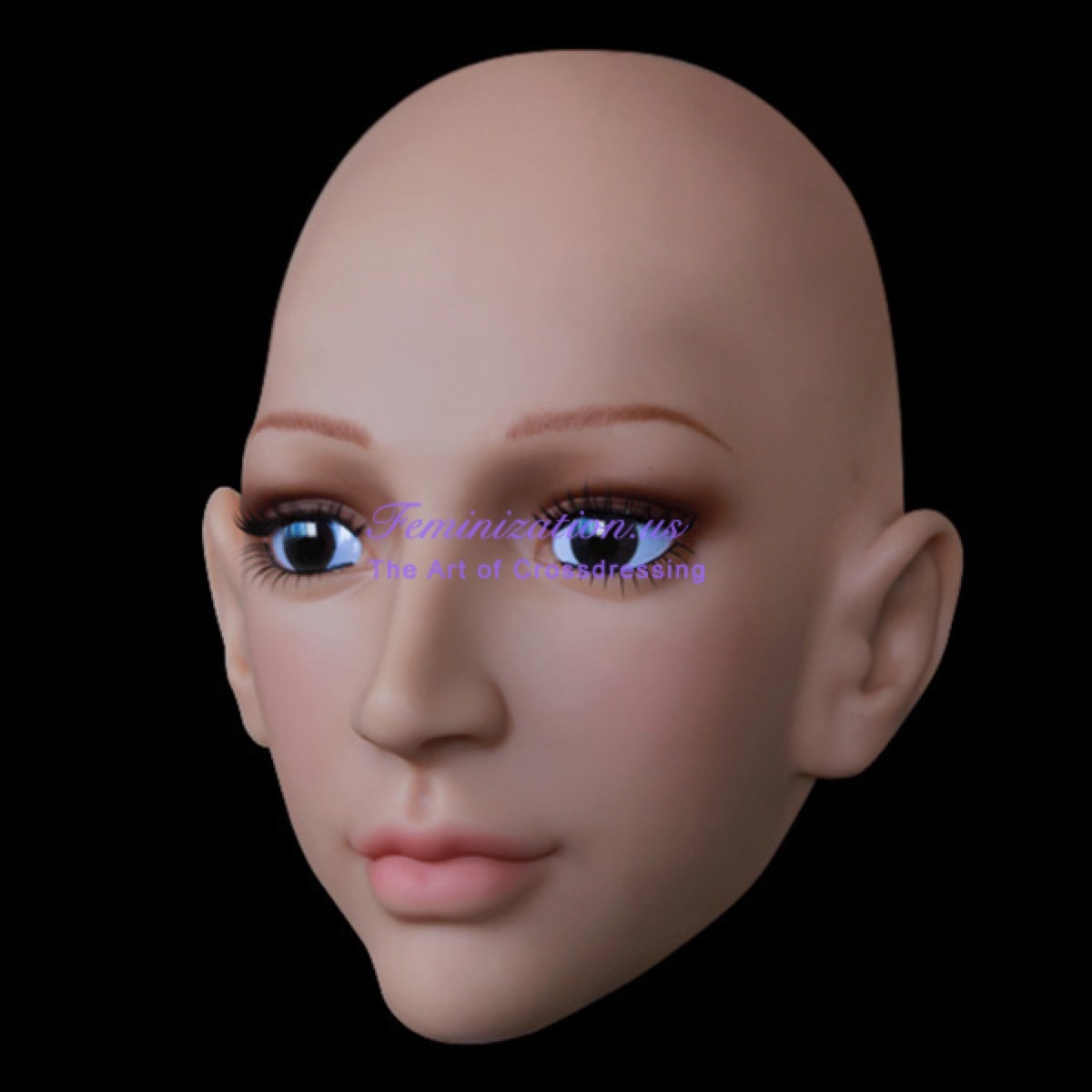 SH15_02.jpg