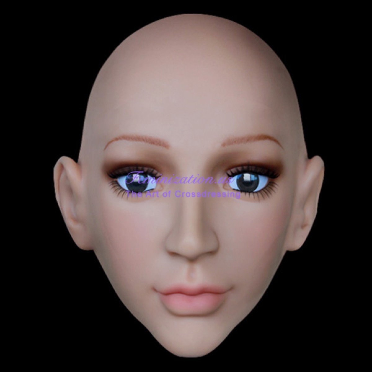 SH15_03.jpg